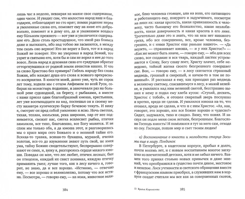 Братья Карамазовы фото книги маленькое 3