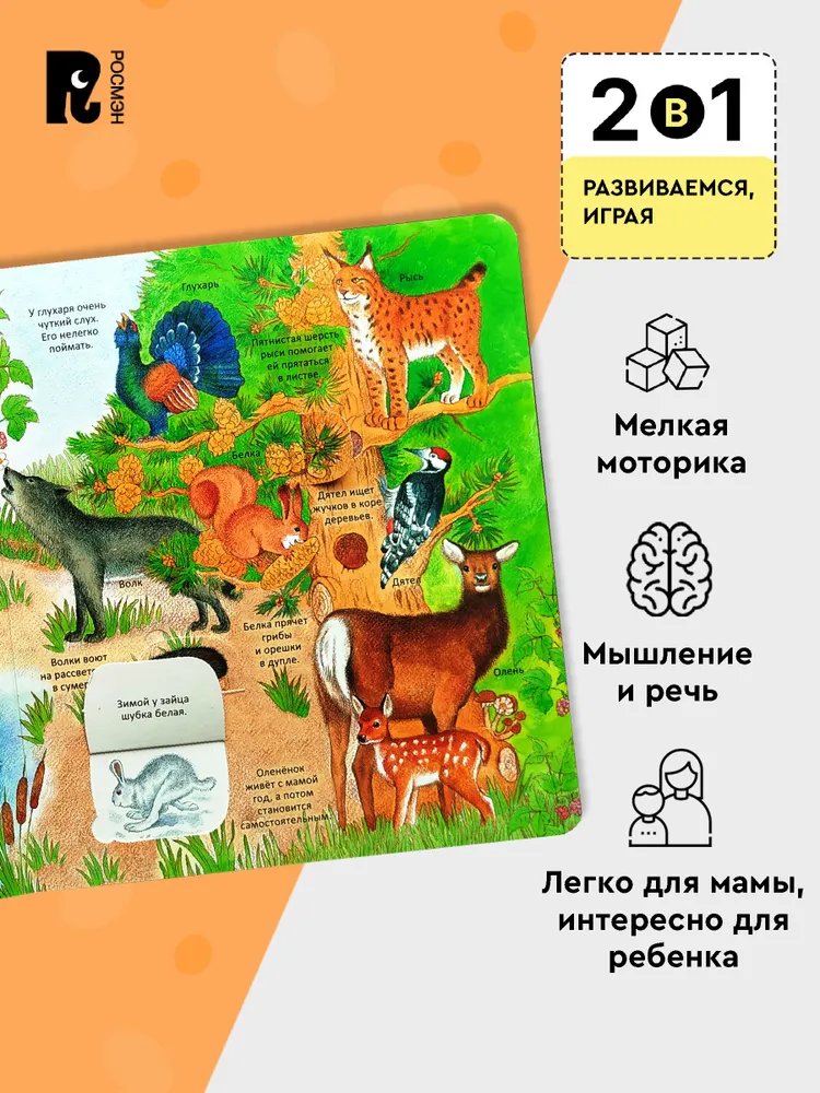 Удивительные животные. Энциклопедия с окошками фото книги маленькое 4