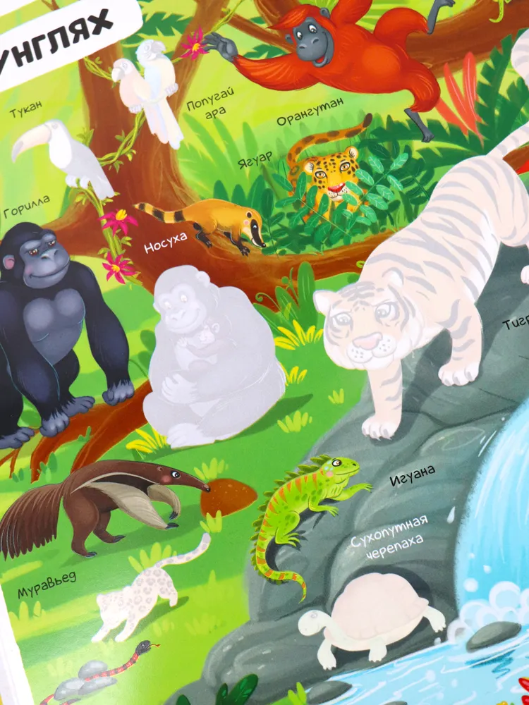 Многоразовые наклейки. Животные фото книги маленькое 4