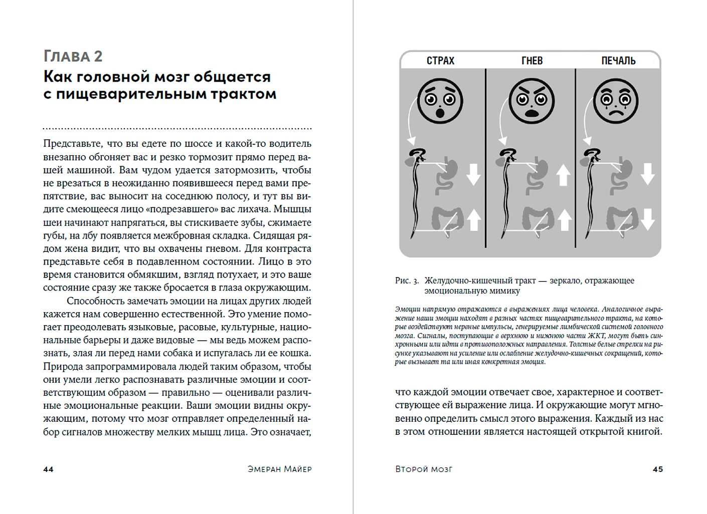 Второй мозг. Как микробы в кишечнике управляют нашим настроением, решениями и здоровьем фото книги маленькое 12
