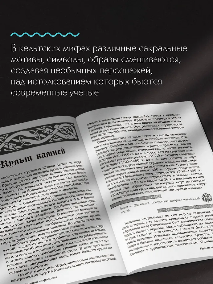 Мифы кельтских народов. Боги, герои, силы природы, символы, мотивы, ритуалы, друиды фото книги маленькое 7