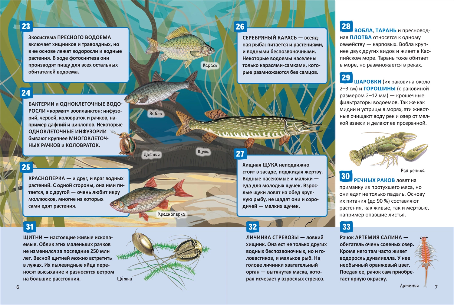 Подводный мир. 250 фактов. Энциклопедия российского школьника. фото книги маленькое 7