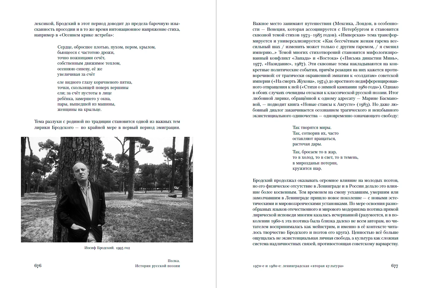 Полка: История русской поэзии фото книги маленькое 17