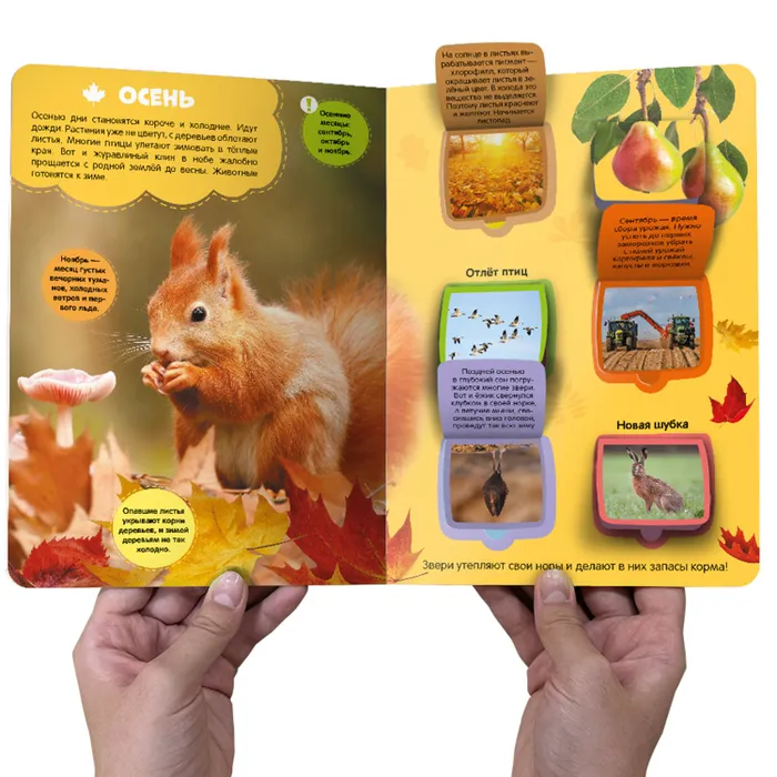 Времена года фото книги маленькое 4