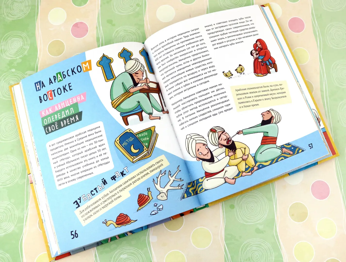 Зубастая энциклопедия фото книги маленькое 11