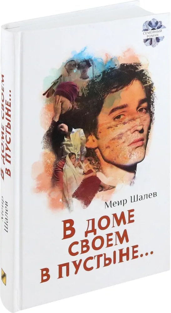 В доме своем в пустыне фото книги маленькое 3