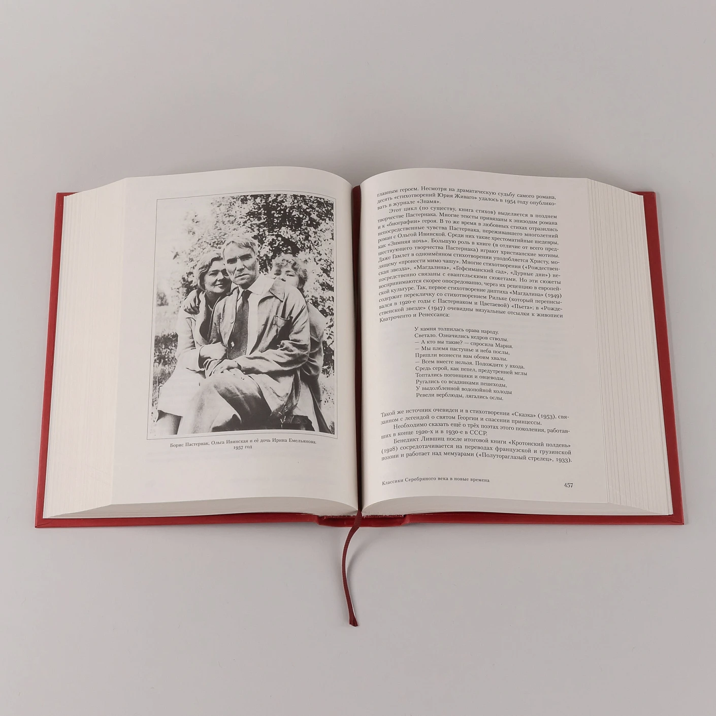 Полка: История русской поэзии фото книги маленькое 10