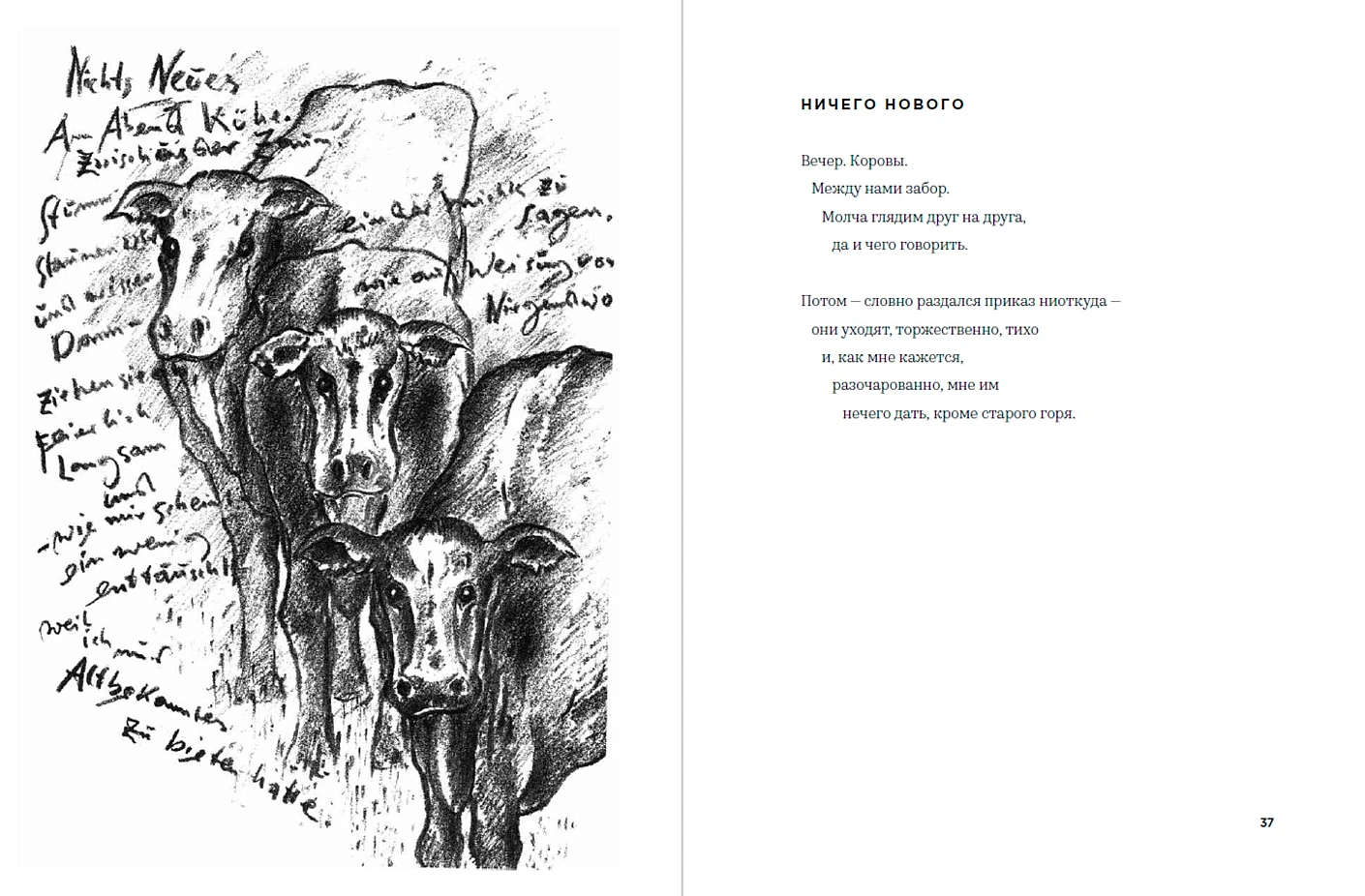 Глупый август фото книги маленькое 4