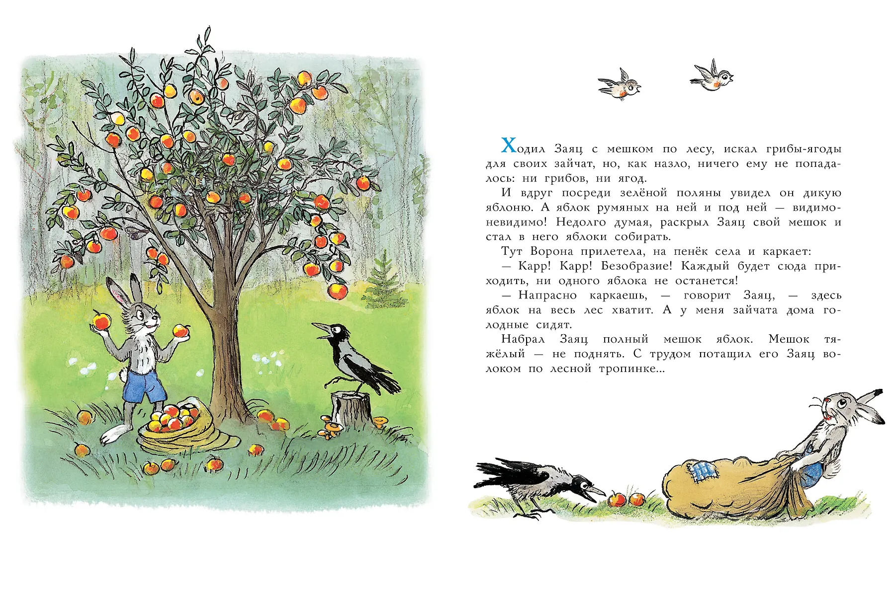 Мешок яблок. Рисунки автора фото книги маленькое 4
