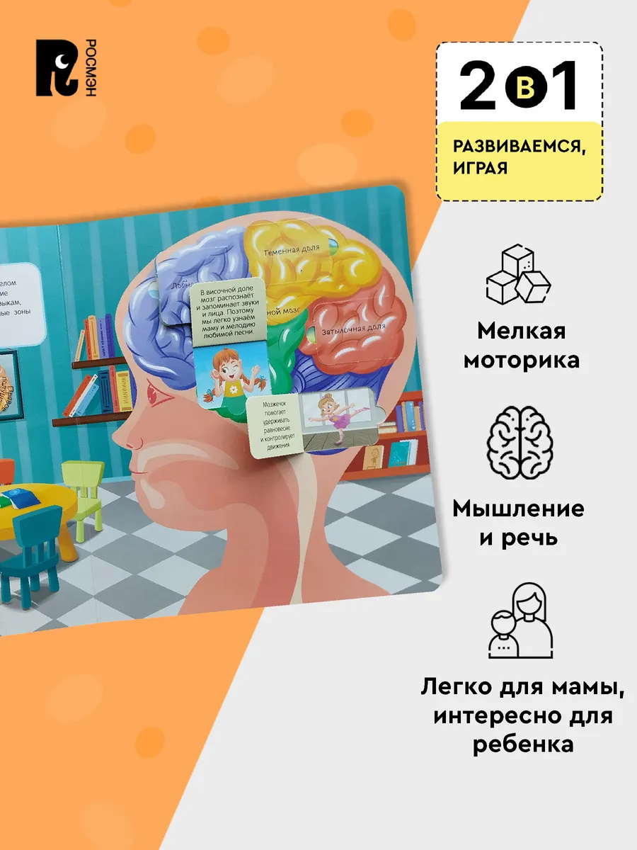 Книги с окошками. Тело человека фото книги маленькое 5