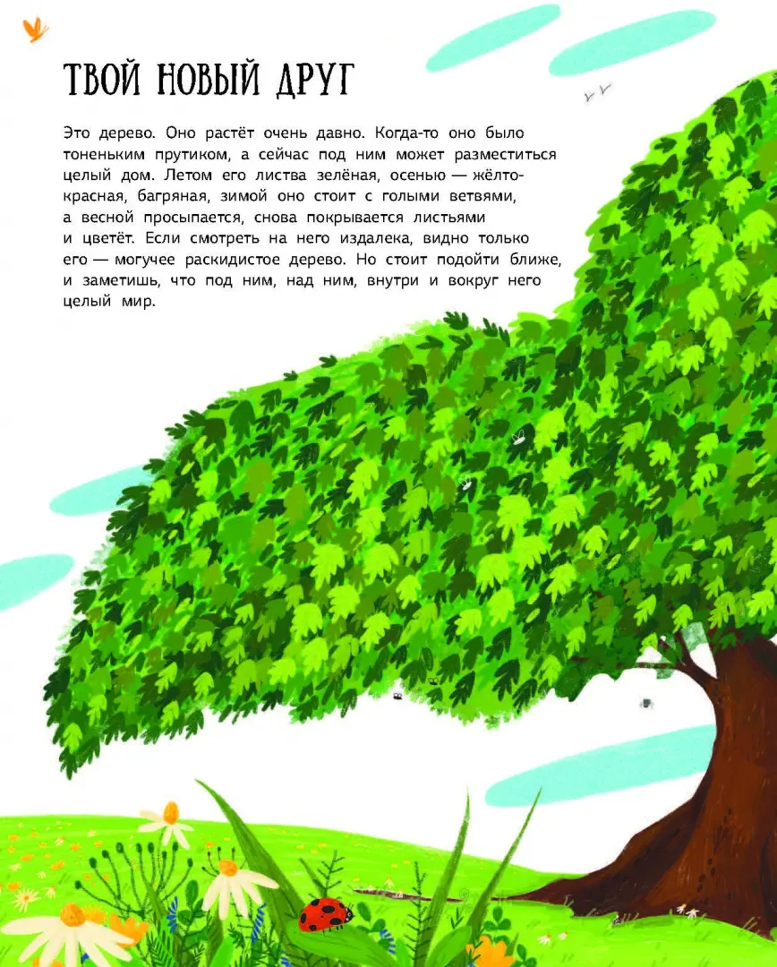 Как зовут твое дерево? фото книги маленькое 3