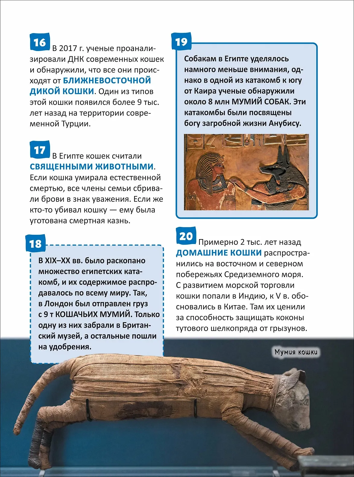 Кошки и собаки. Энциклопедия российского школьника фото книги маленькое 4