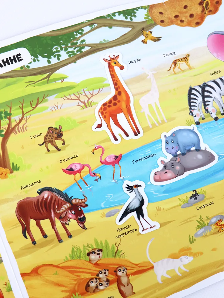 Многоразовые наклейки. Животные фото книги маленькое 3