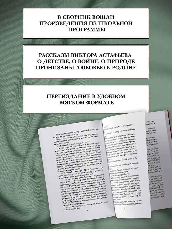 Васюткино озеро фото книги маленькое 5