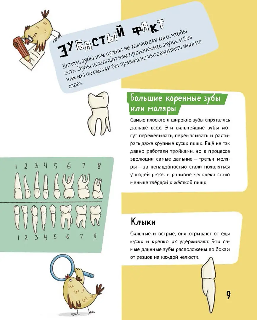 Зубастая энциклопедия фото книги маленькое 4