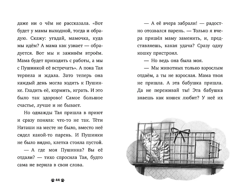 Котенок Пушинка ищет дом фото книги маленькое 4