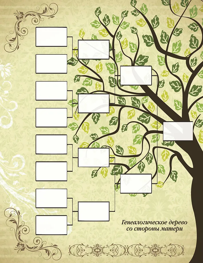 История моей семьи фото книги маленькое 6