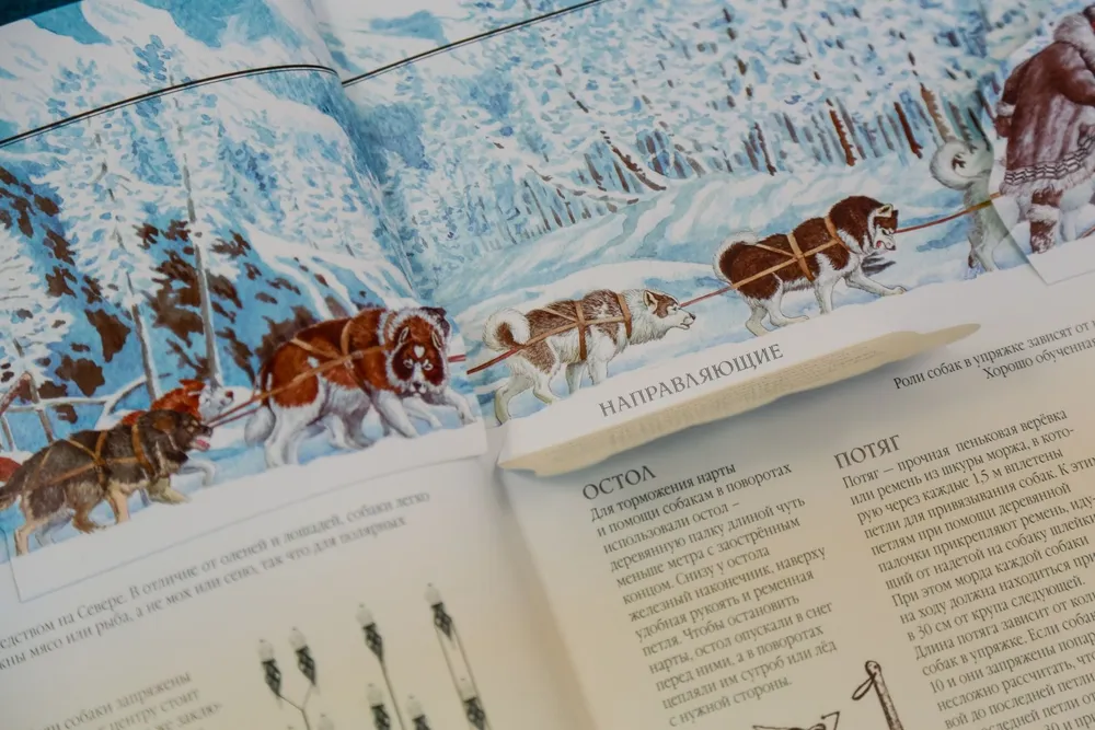 Зов предков фото книги маленькое 13