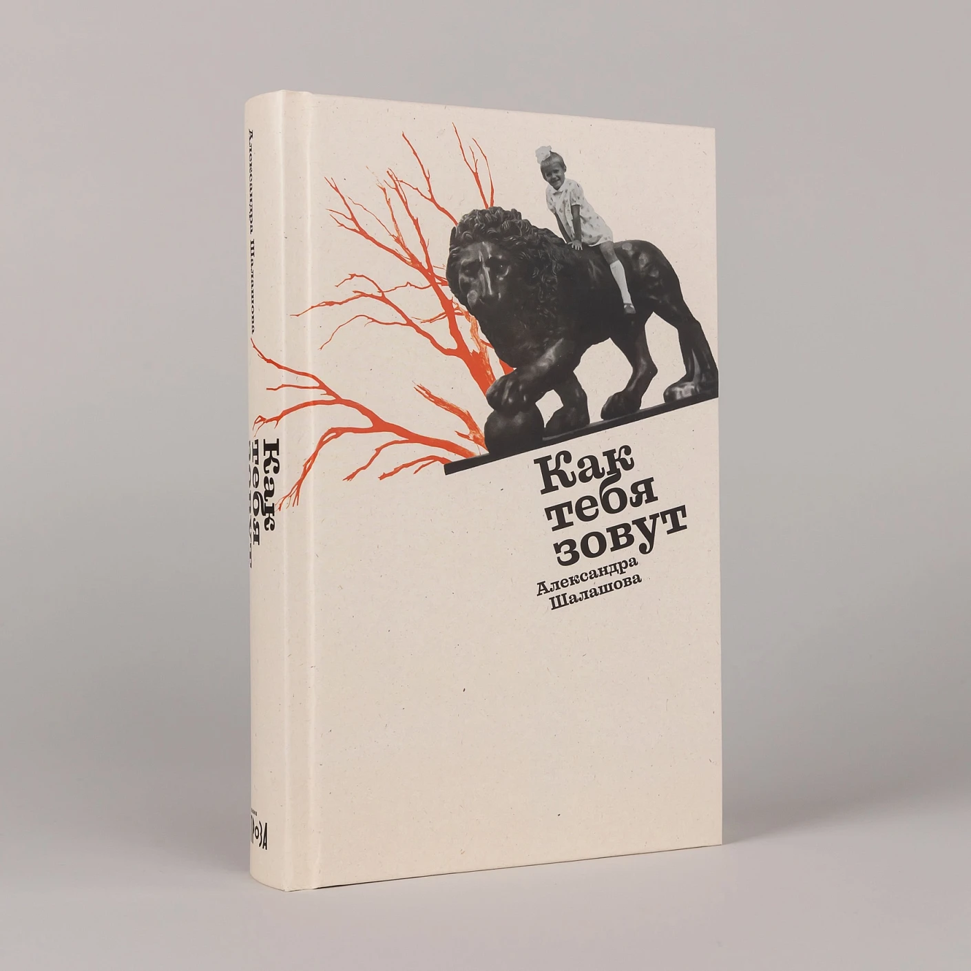 Как тебя зовут фото книги маленькое 3