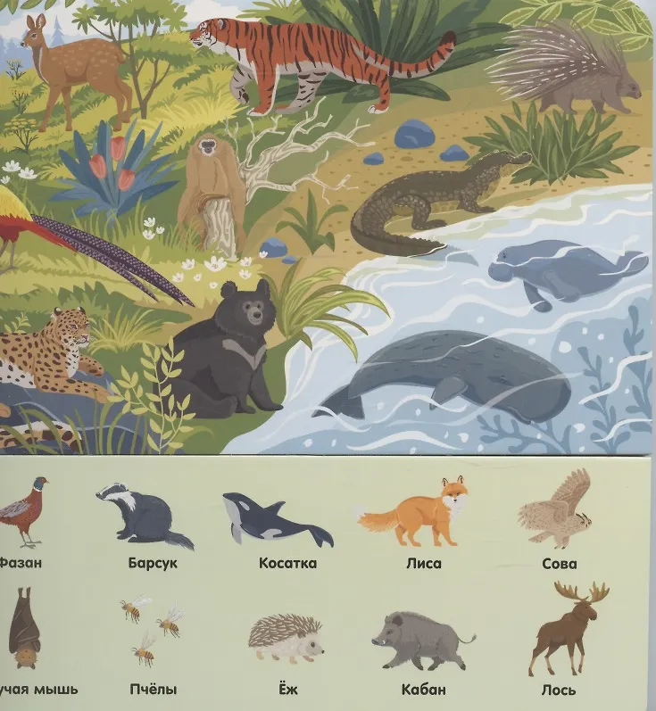 В зоопарке фото книги маленькое 4