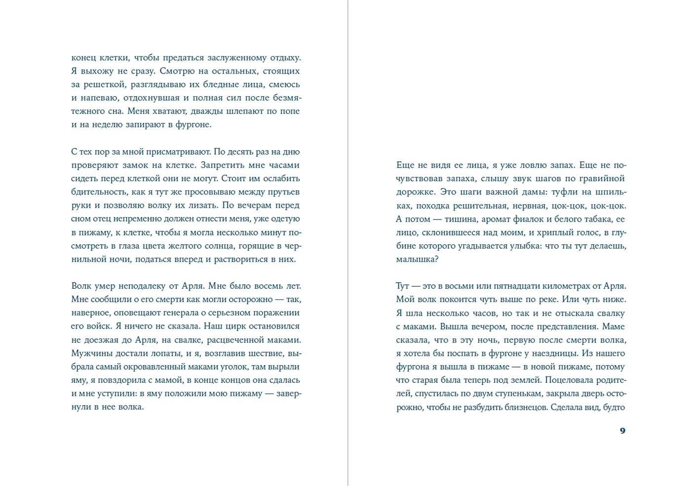 Легкий аллюр фото книги маленькое 3