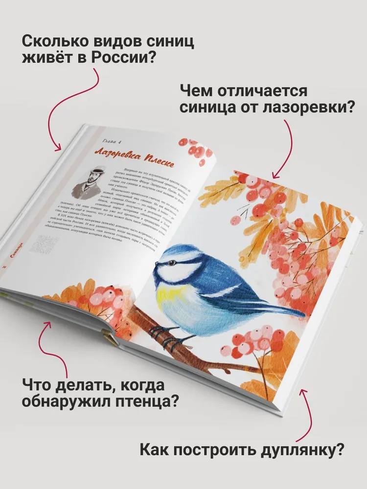 Синицы фото книги маленькое 6
