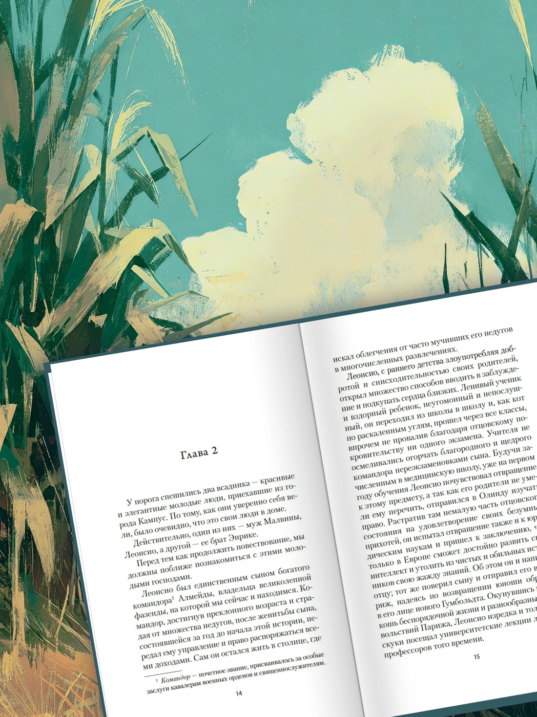 Рабыня Изаура фото книги маленькое 4