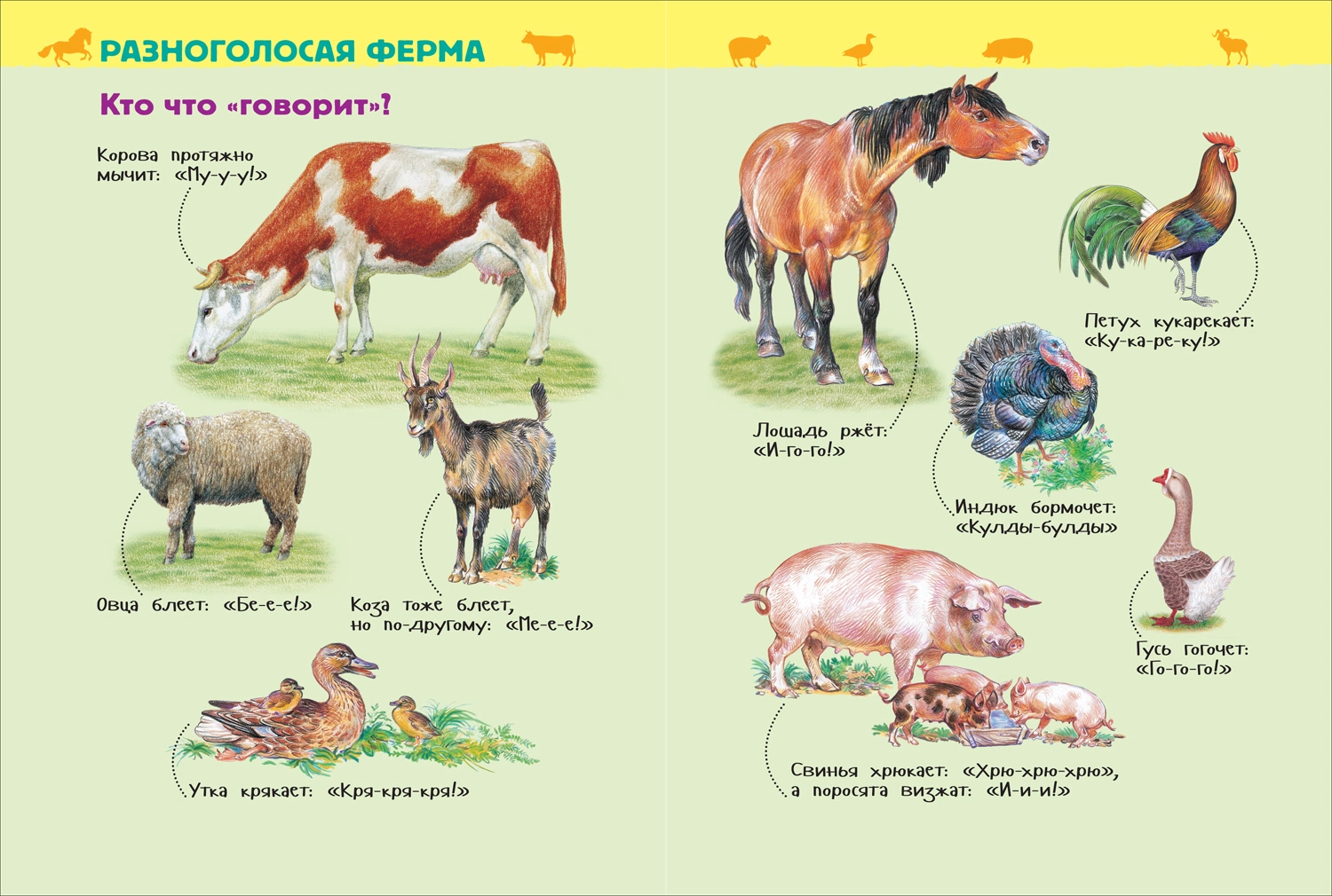 Домашние животные. Энциклопедия для детского сада фото книги маленькое 4