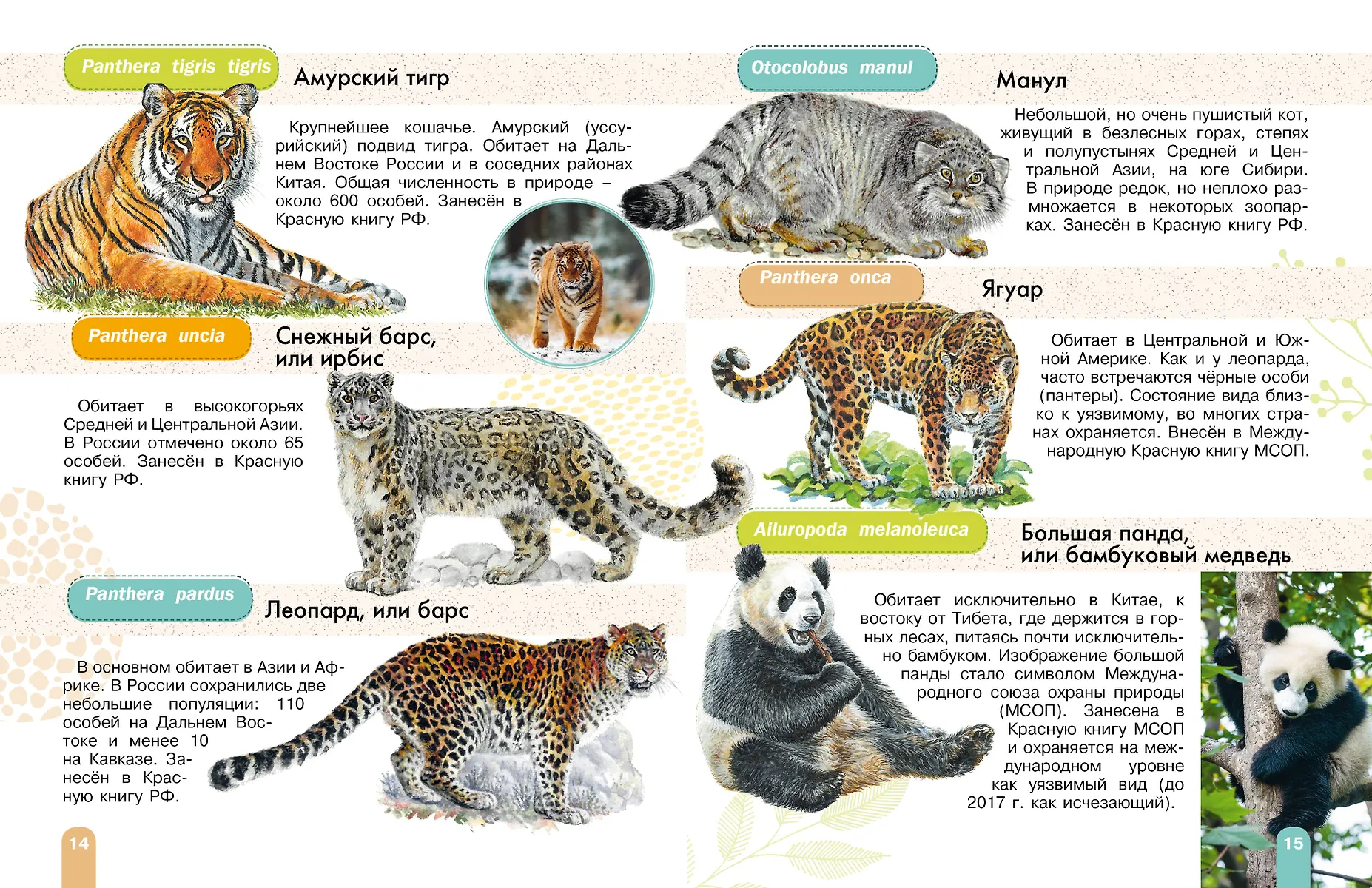 Красная книга. Активити фото книги маленькое 5