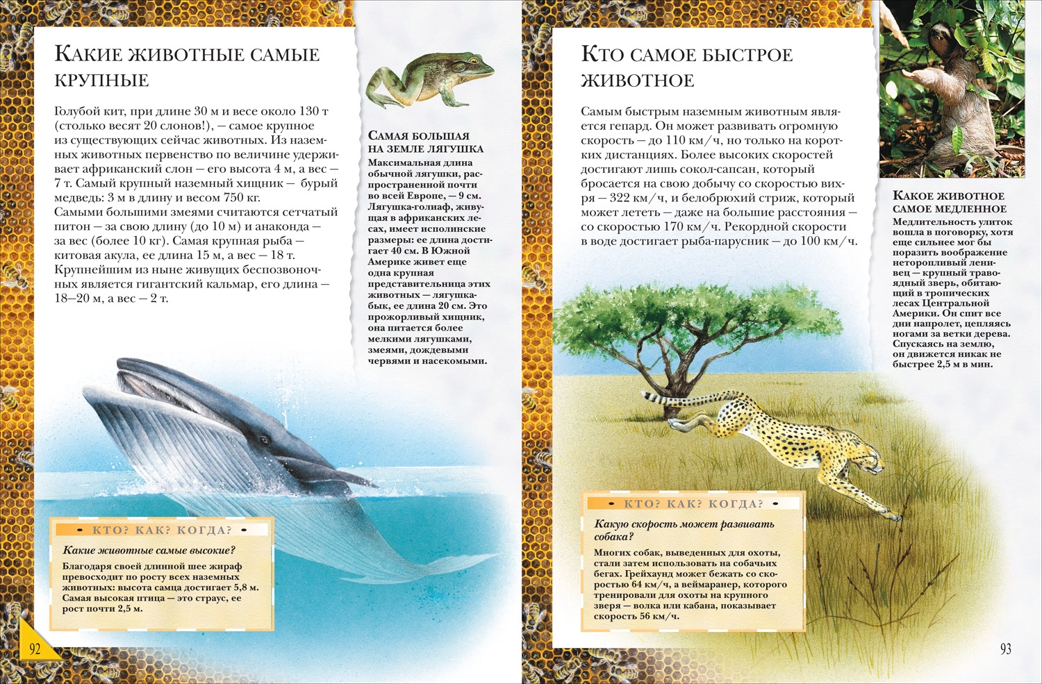 Большая энциклопедия школьника. Книга вопросов и ответов фото книги маленькое 4