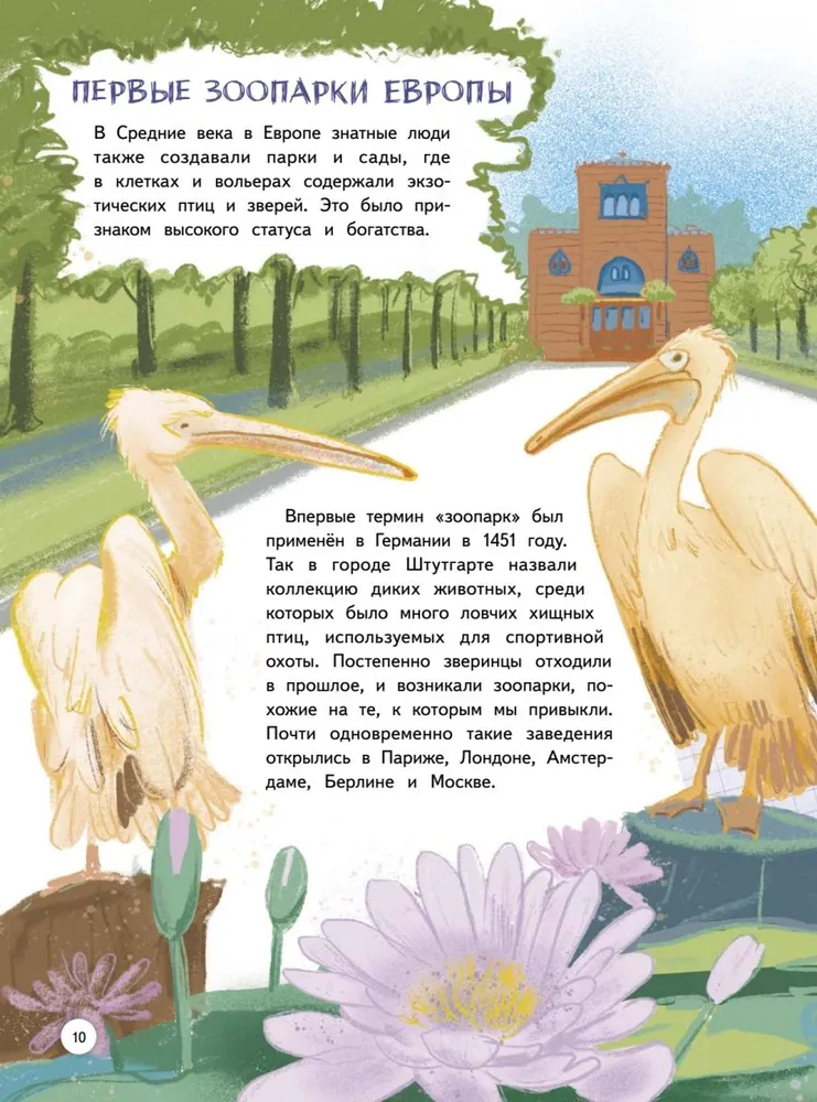 Зоопарк. Звериная история фото книги маленькое 14