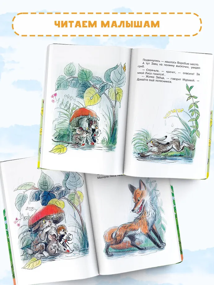 Под грибом фото книги маленькое 6