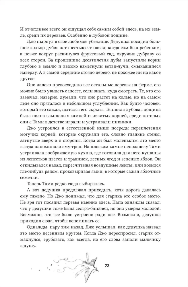 Амаранты. 3. Окрыленный фото книги маленькое 6