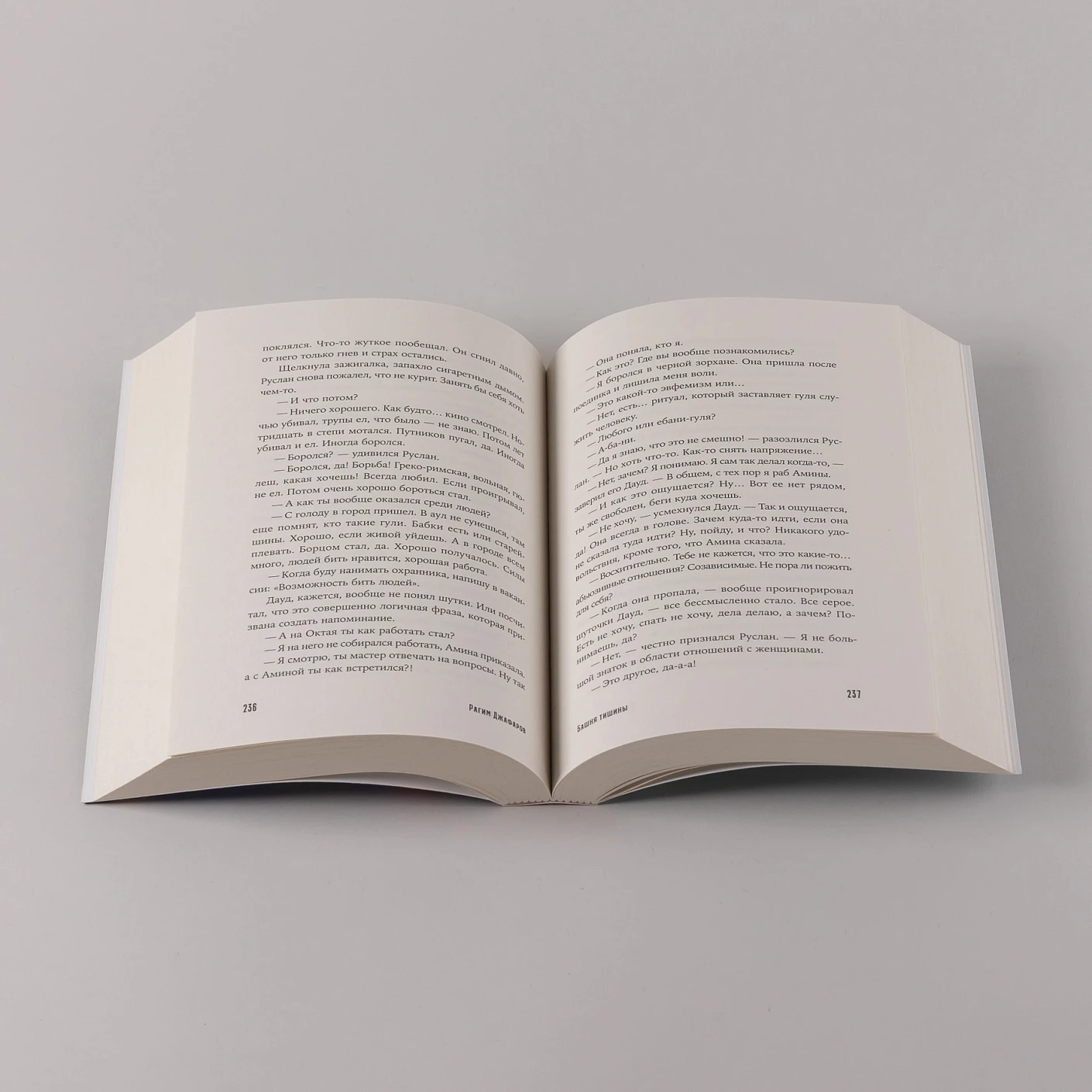 Башня тишины фото книги маленькое 6