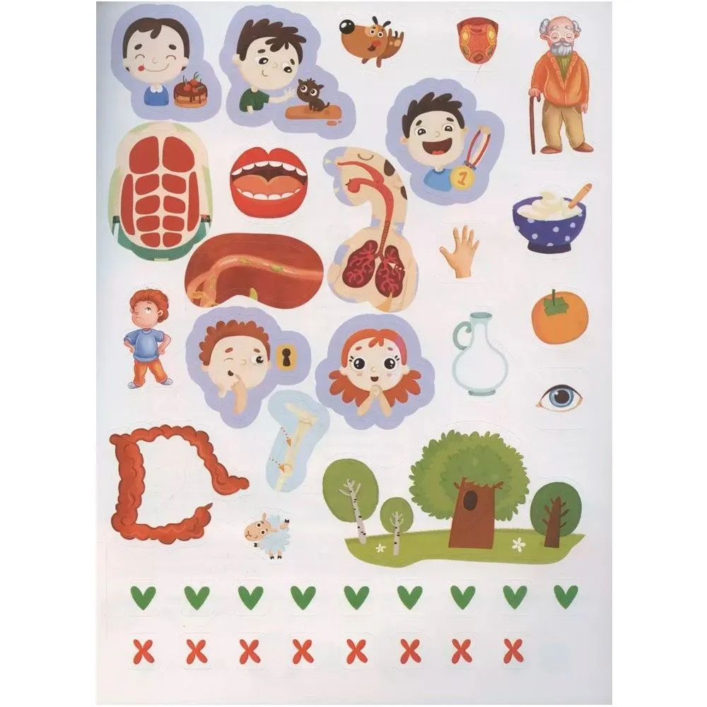 Анатомия фото книги маленькое 4