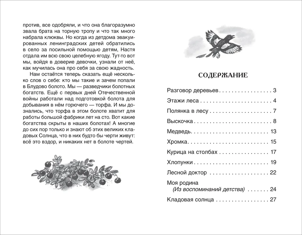 Кладовая солнца фото книги маленькое 4