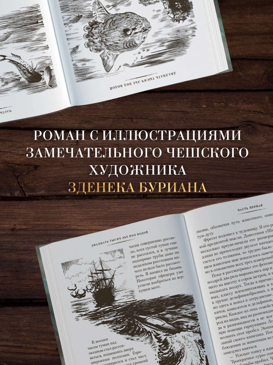 Двадцать тысяч лье под водой фото книги маленькое 15