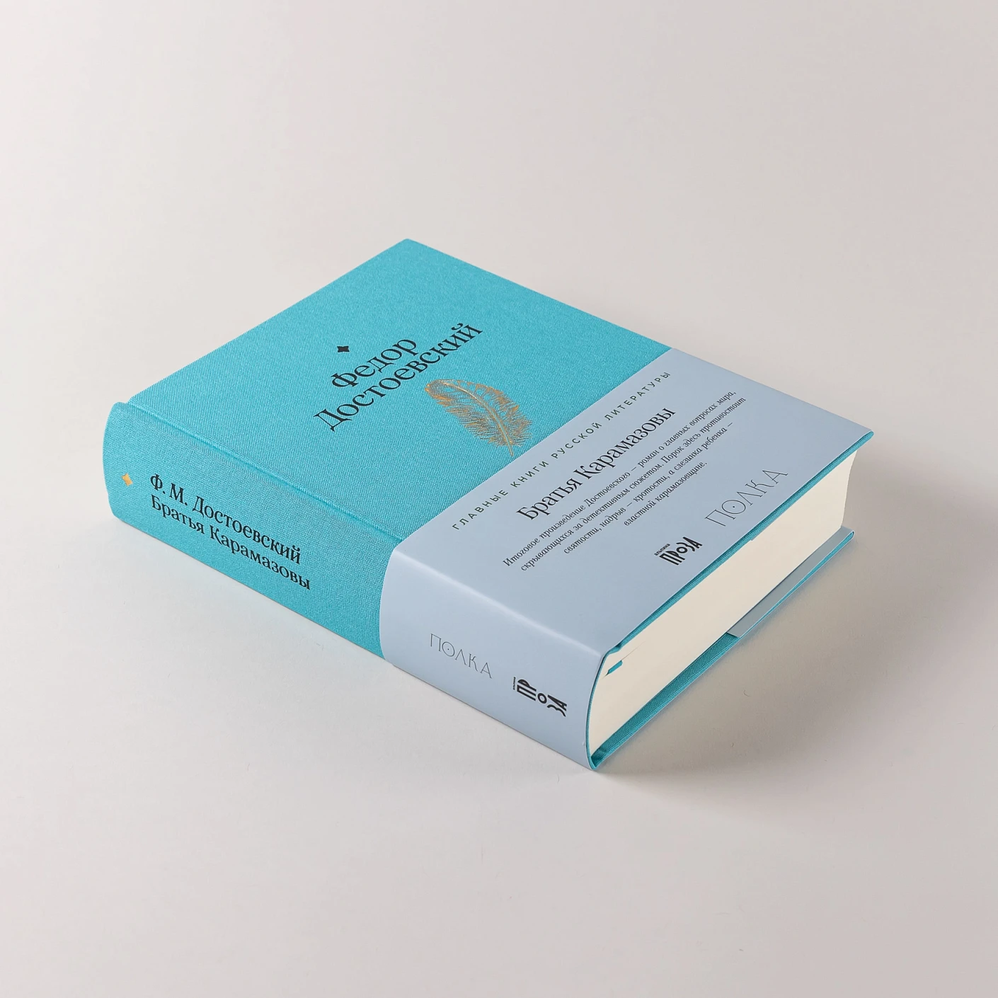 Братья Карамазовы фото книги маленькое 4