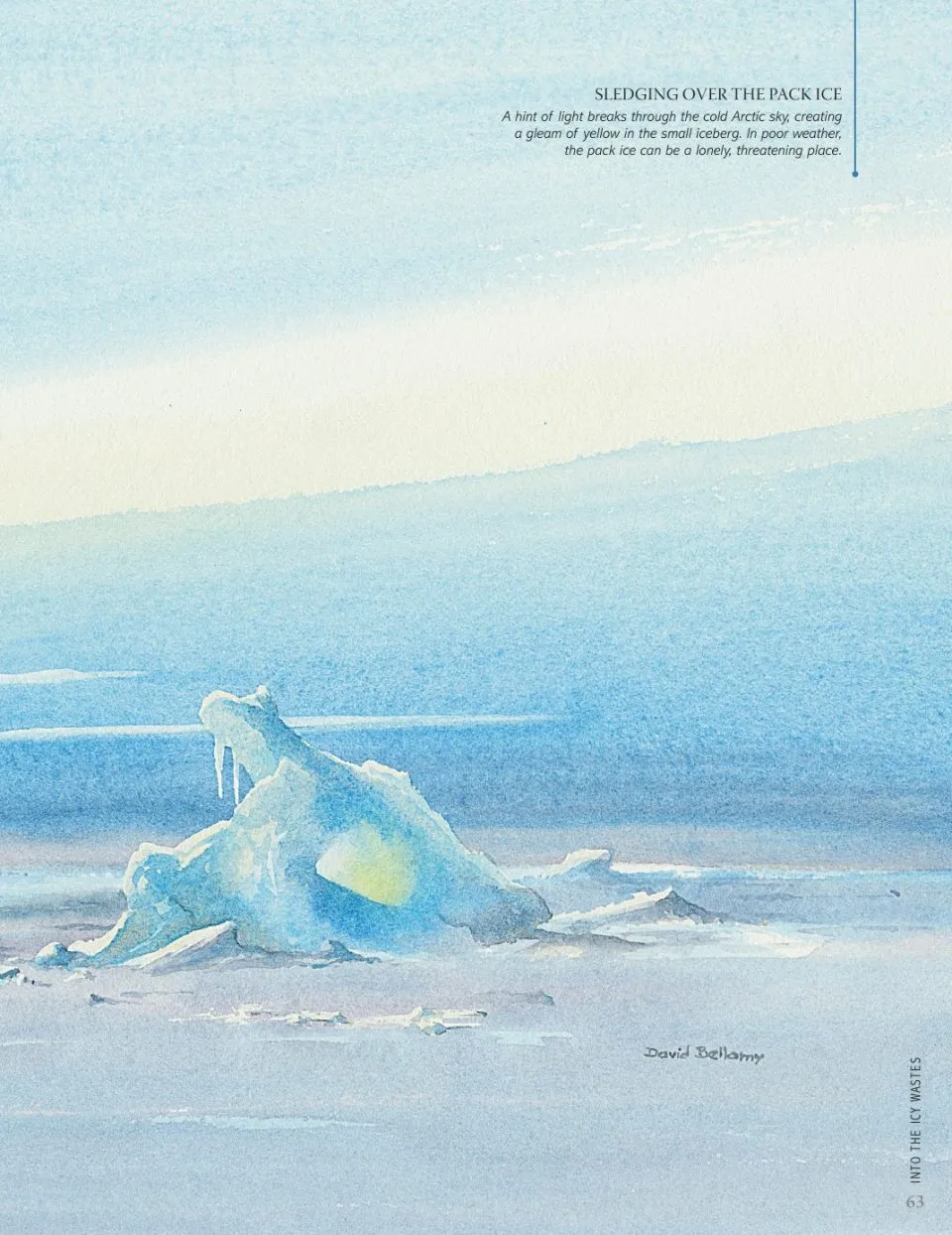 David Bellamy`s Arctic Light фото книги маленькое 12