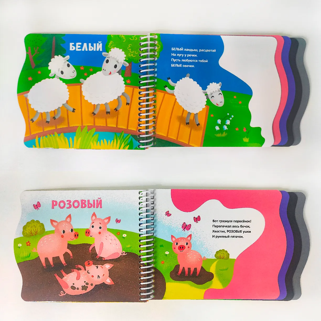 Первые шаги. Цвета фото книги маленькое 5