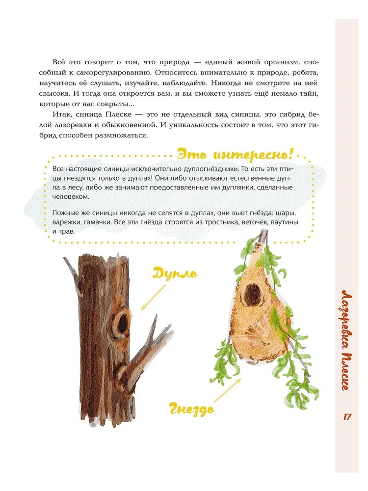 Синицы фото книги маленькое 10