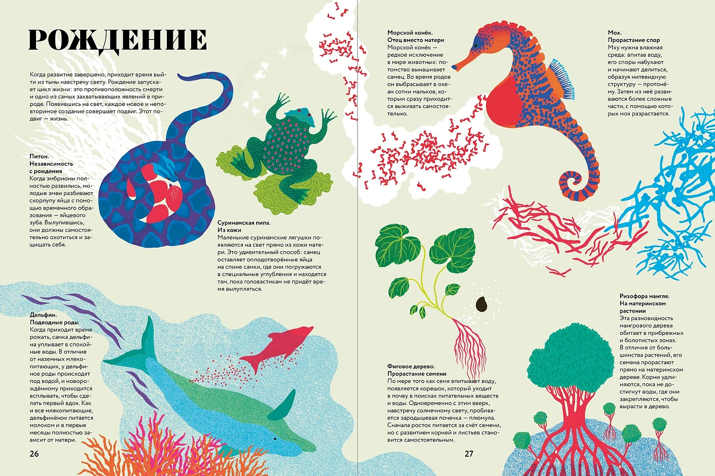 Чудесная книга жизни фото книги маленькое 5