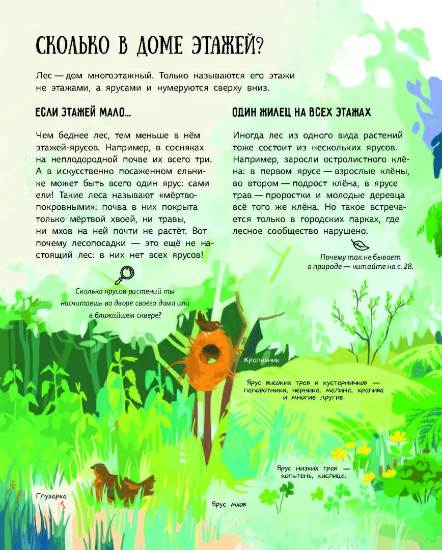 Лес. Самый умный дом на свете фото книги маленькое 5
