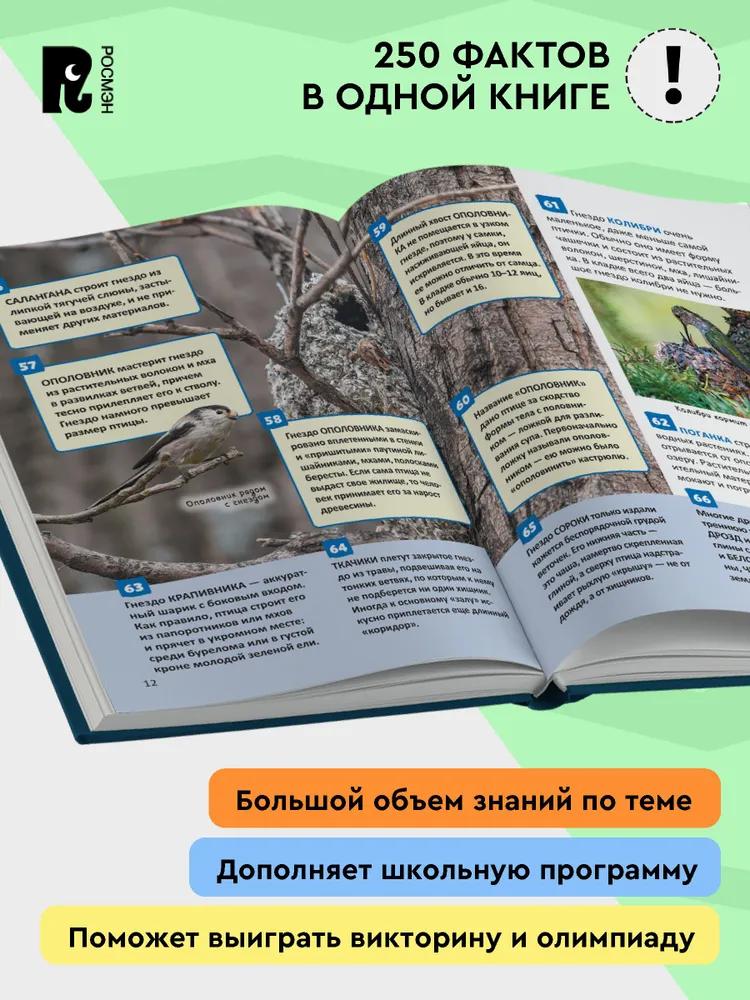 Птицы. Энциклопедия российского школьника фото книги маленькое 4