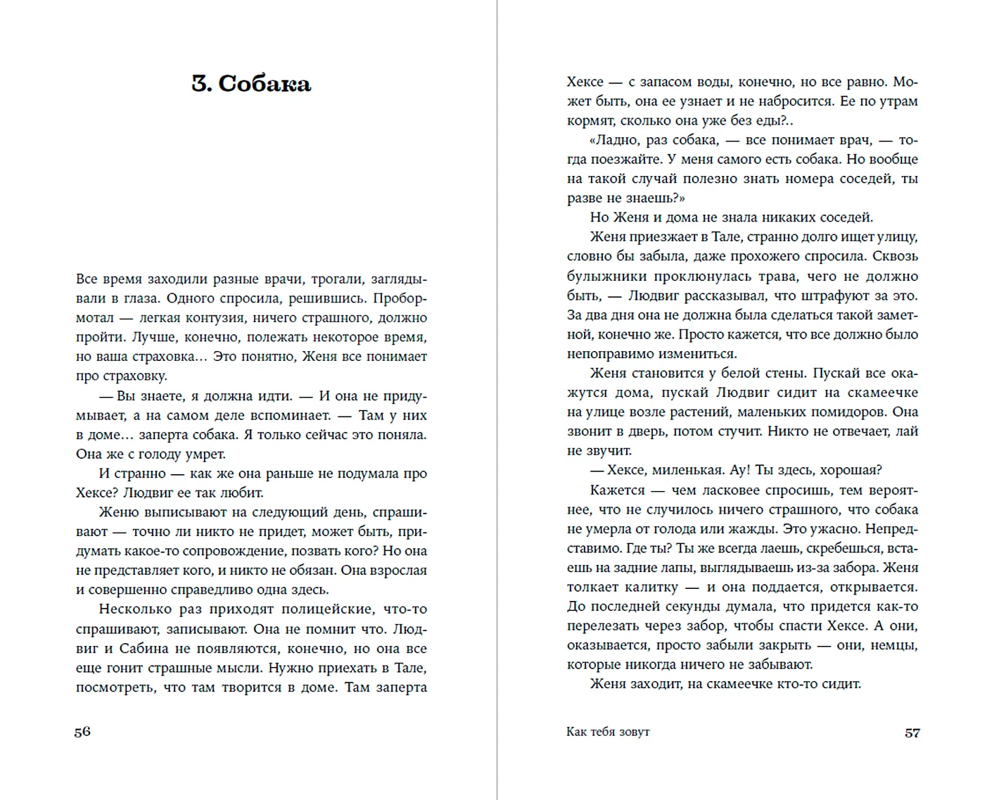 Как тебя зовут фото книги маленькое 13