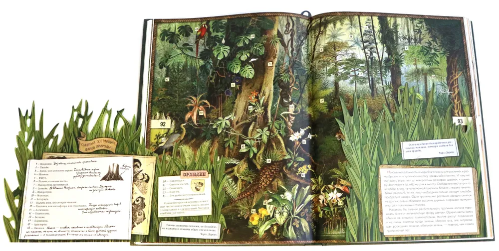 Затерянный мир фото книги маленькое 6