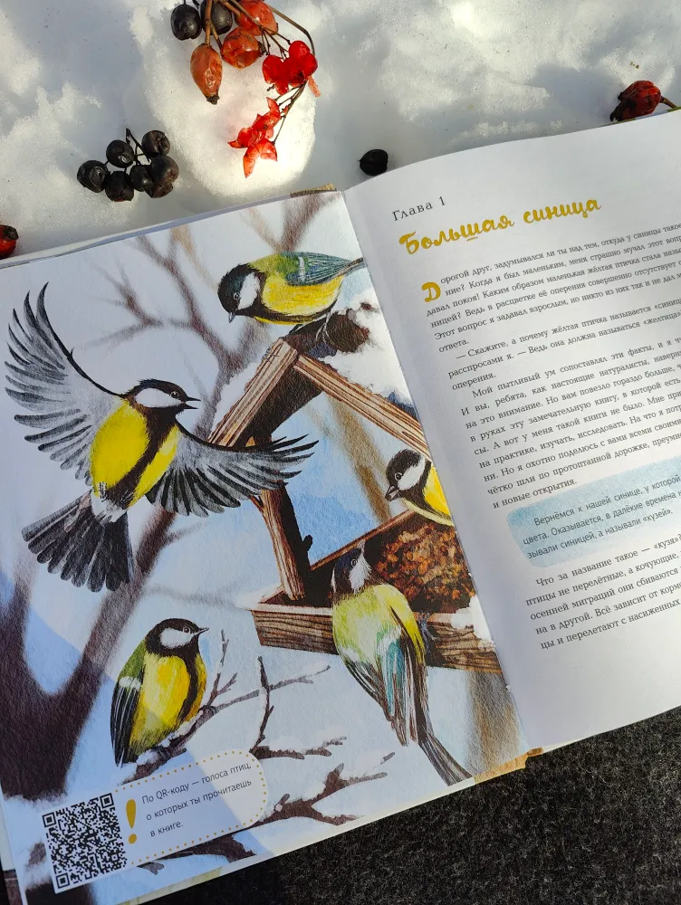 Синицы фото книги маленькое 7