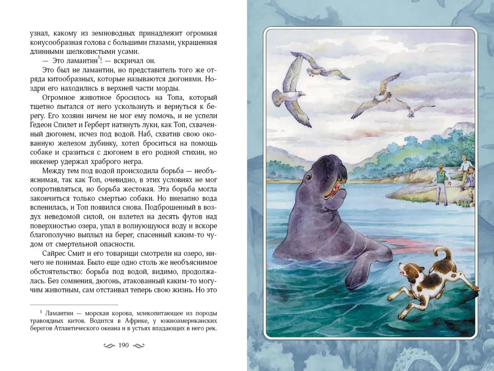 Таинственный остров фото книги маленькое 8