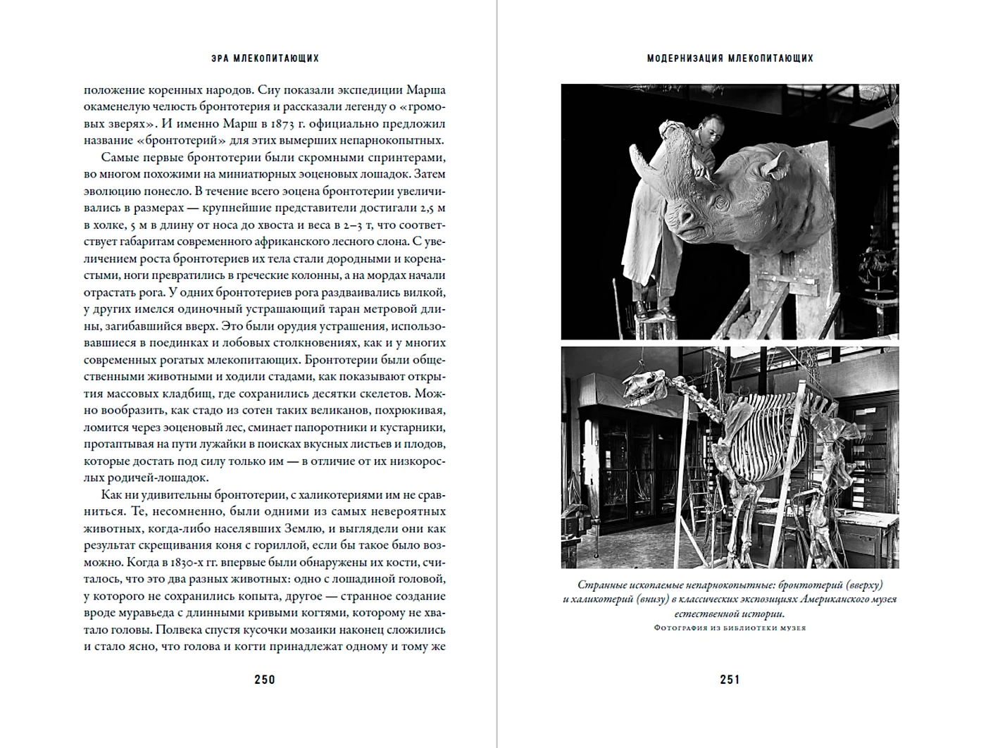 Эра млекопитающих: Из тени динозавров к мировому господству фото книги маленькое 4