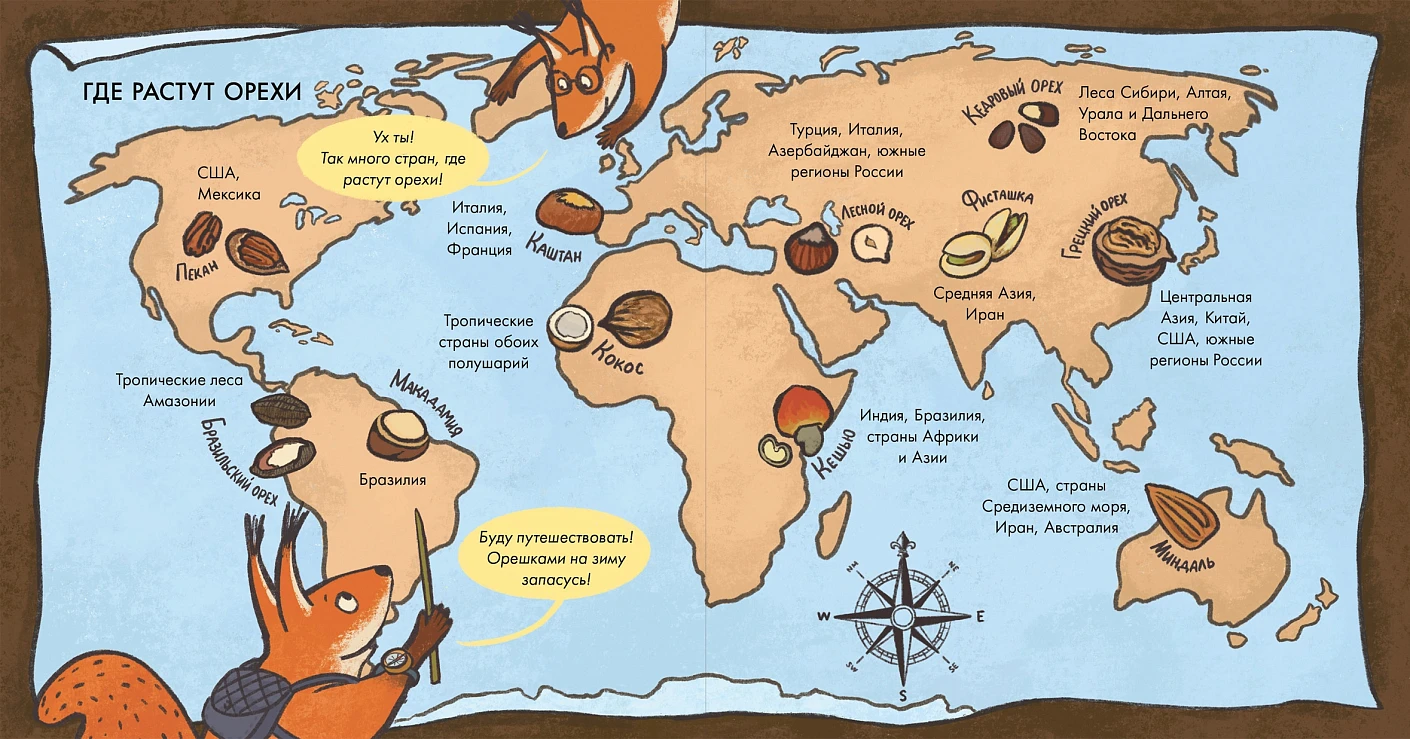 Я знаю, что я ем! Орехи фото книги маленькое 4